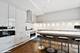 1733 S Prairie, Chicago, IL 60616