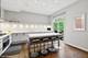 1733 S Prairie, Chicago, IL 60616
