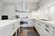 1733 S Prairie, Chicago, IL 60616