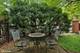 1733 S Prairie, Chicago, IL 60616