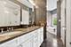 1733 S Prairie, Chicago, IL 60616