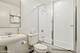 1733 S Prairie, Chicago, IL 60616