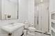 1733 S Prairie, Chicago, IL 60616
