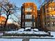 7301 S Constance Unit 1, Chicago, IL 60649