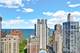 1325 N State Unit 17C, Chicago, IL 60610