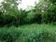15450 W Purley, Homer Glen, IL 60491