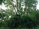 15450 W Purley, Homer Glen, IL 60491