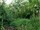 15450 W Purley, Homer Glen, IL 60491