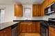 25 E 26th Unit 4, Chicago, IL 60616