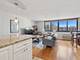1221 N Dearborn Unit 1203S, Chicago, IL 60610