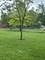 5484 W Higgins Unit GC, Chicago, IL 60630