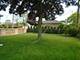 7203 W Lill, Niles, IL 60714