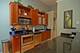807 Church Unit 214, Evanston, IL 60201