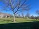 812 Genesee, Naperville, IL 60563
