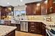 7146 S Oketo, Bridgeview, IL 60455