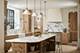 140 Sheridan, Winnetka, IL 60093