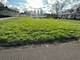 1331 S 4th, Aurora, IL 60505