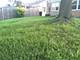 142 E Grove, Lombard, IL 60148