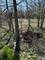 166 W Lake, Bloomingdale, IL 60108