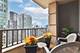 25 E Superior Unit 2805, Chicago, IL 60611