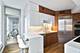 25 E Superior Unit 2805, Chicago, IL 60611