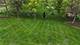 10880 Swallow Tail, Frankfort, IL 60423