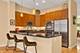 2862 N Paulina, Chicago, IL 60657