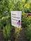 10715 S Avenue G, Chicago, IL 60617