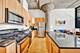 320 E 21st Unit 412, Chicago, IL 60616