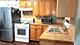 4542 S Lamon, Chicago, IL 60638