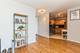 655 W Irving Park Unit 4711, Chicago, IL 60613