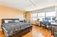 655 W Irving Park Unit 4711, Chicago, IL 60613