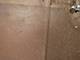 8405 S Baltimore, Chicago, IL 60617