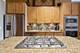 1530 S State Unit 408, Chicago, IL 60605