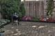 4419 S Wallace, Chicago, IL 60609