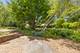 1534 Gainesboro, Wheaton, IL 60189