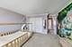 197 Trumpet Vine, Elgin, IL 60124