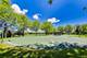 197 Trumpet Vine, Elgin, IL 60124
