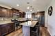 197 Trumpet Vine, Elgin, IL 60124