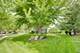 1056 Whirlaway, Naperville, IL 60540