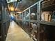 6301 N Sheridan Unit 14E, Chicago, IL 60660