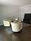 1350 N Cleveland Unit 1, Chicago, IL 60610