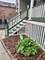 2343 N Lawndale, Chicago, IL 60647