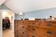 740 Wisner, Park Ridge, IL 60068