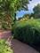 941 Harms, Glenview, IL 60025