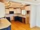 10312 S Kenneth, Oak Lawn, IL 60453
