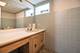 3119 N Oleander, Chicago, IL 60707