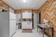 1515 W 17th, Chicago, IL 60608