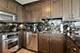 505 N Lake Shore Unit 4807, Chicago, IL 60611