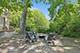 305 Winchester, Lake Bluff, IL 60044